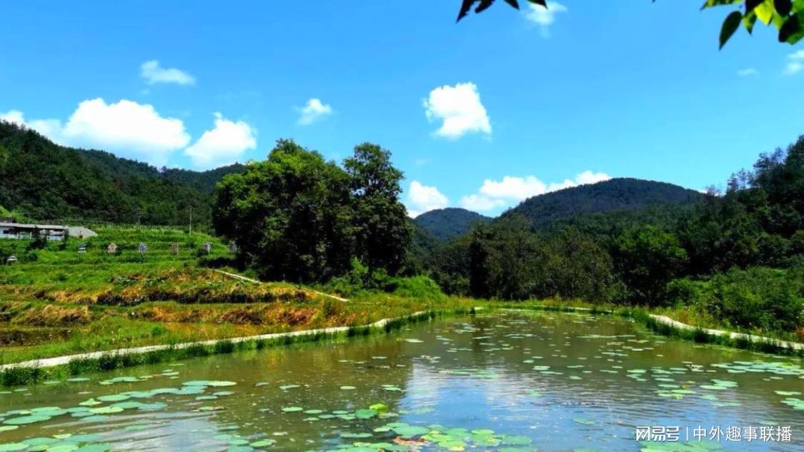 快手双击50自助下单：科技创新驱动产业升级助力经济高质量发展_666秒赞吧24小时自助下单